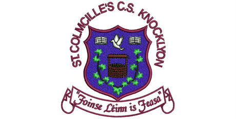 St Colmcille's CS Knocklyon