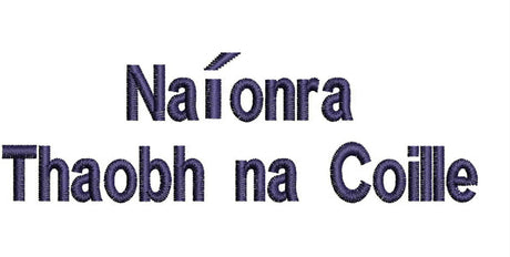 Naionra Taobh Na Coille Seomra Denise School