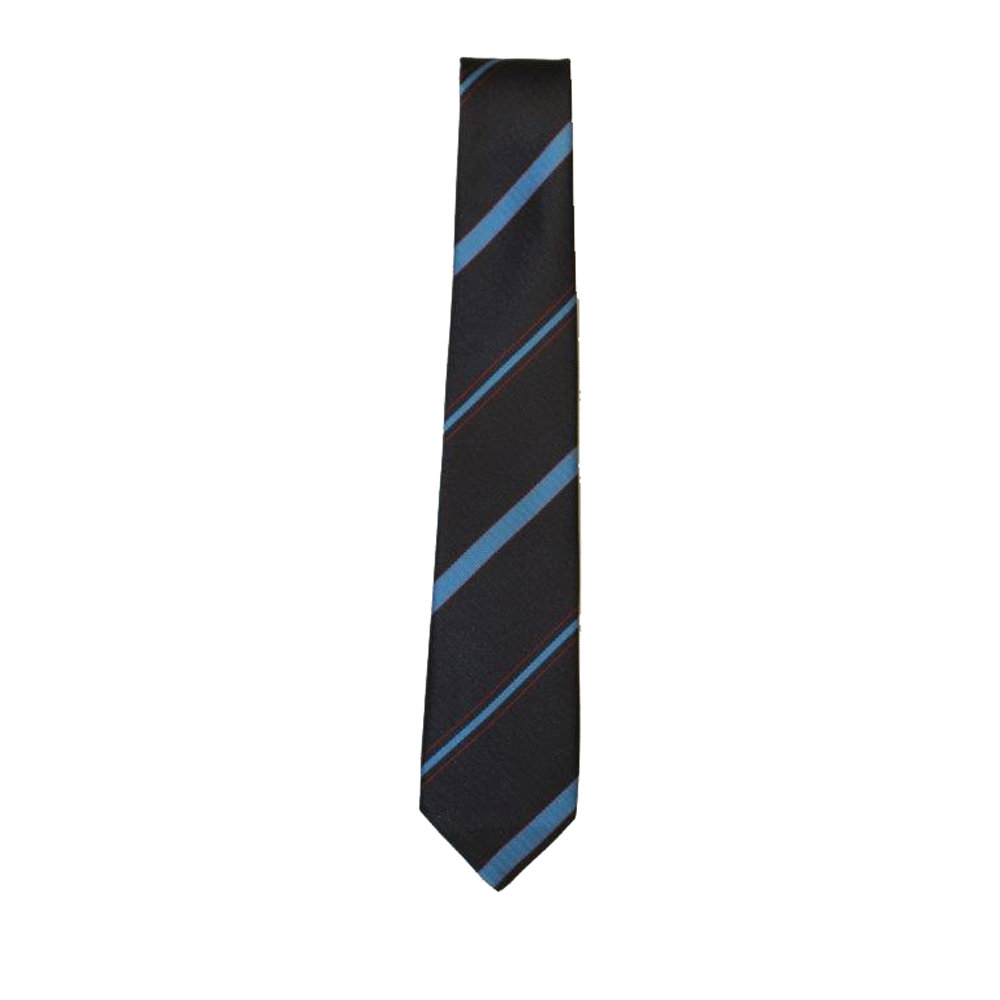 St Pius X Boys & Girls Schools Tie
