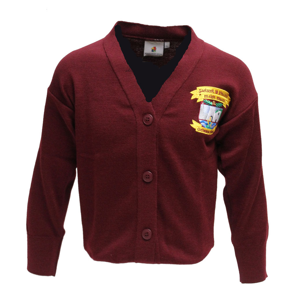 Gaelscoil Uí Fhiaich Cardigan
