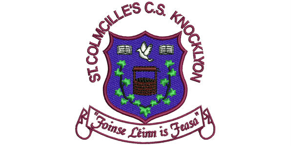 St Colmcille's CS Knocklyon