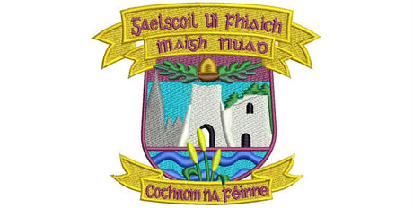 Gaelscoil Uí Fhiaich