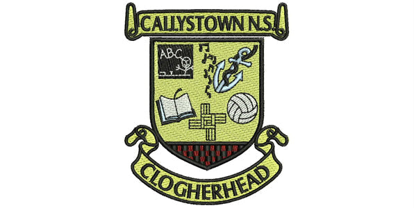 Callystown National School