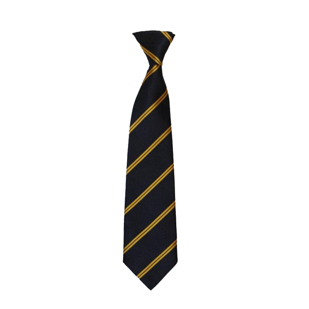 Scoil Treasa Naofa Elasticated Tie