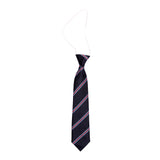 St. Paul's NS Ratoath Tie (Elastic)