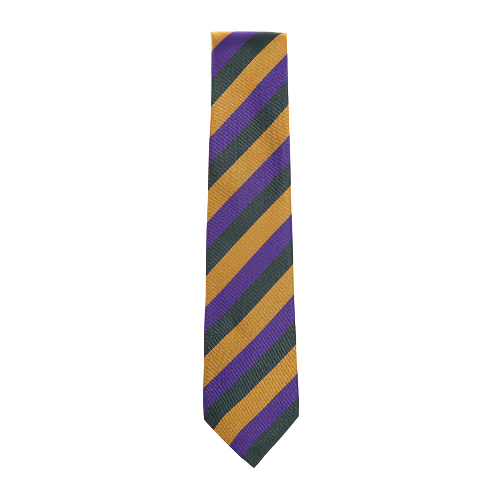 Sandford Park Regular School Tie