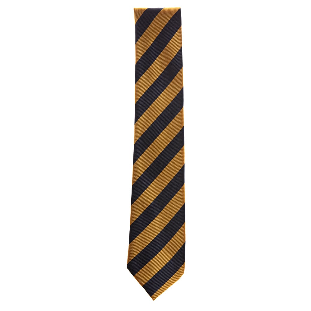 Colaiste Bride Regular Tie (Senior)