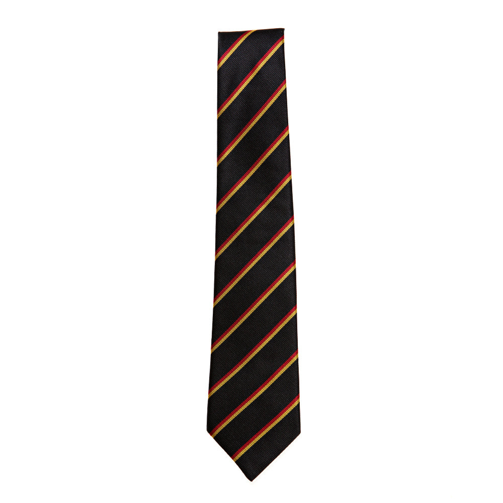 Presentation College Regular Tie