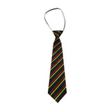 Gaelscoil Phadraig Ballybrack Tie