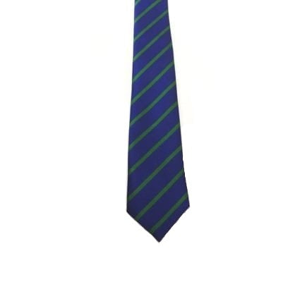 St Thomas SNS Tie (Regular/Elastic)