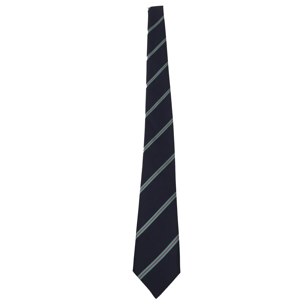 Templeogue College Jnr Tie  (1st-3rd Year)