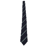 Templeogue College Jnr Tie  (1st-3rd Year)