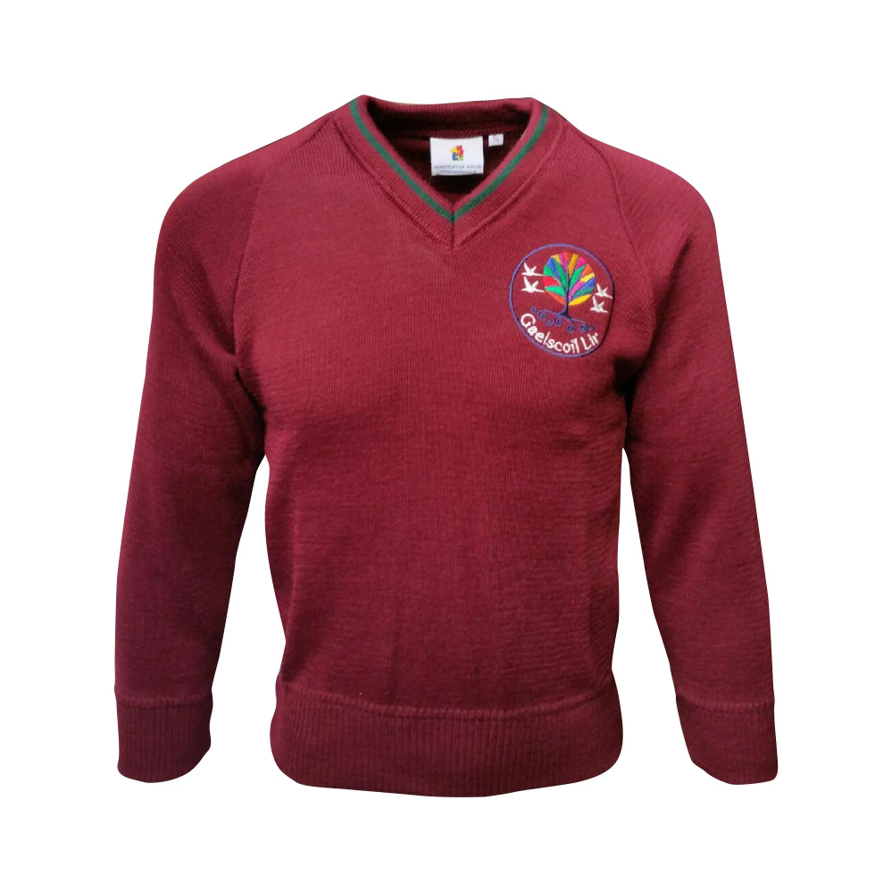 Gaelscoil Lir Jumper